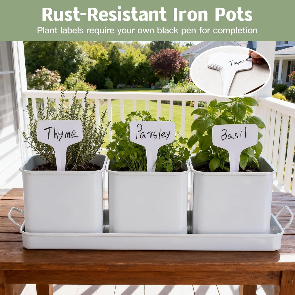 Indoor Herb Garden, Herb Planter Set with Handled Tray, 3 Iron Indoor Plant Pots with Drainage Holes, Windowsill
