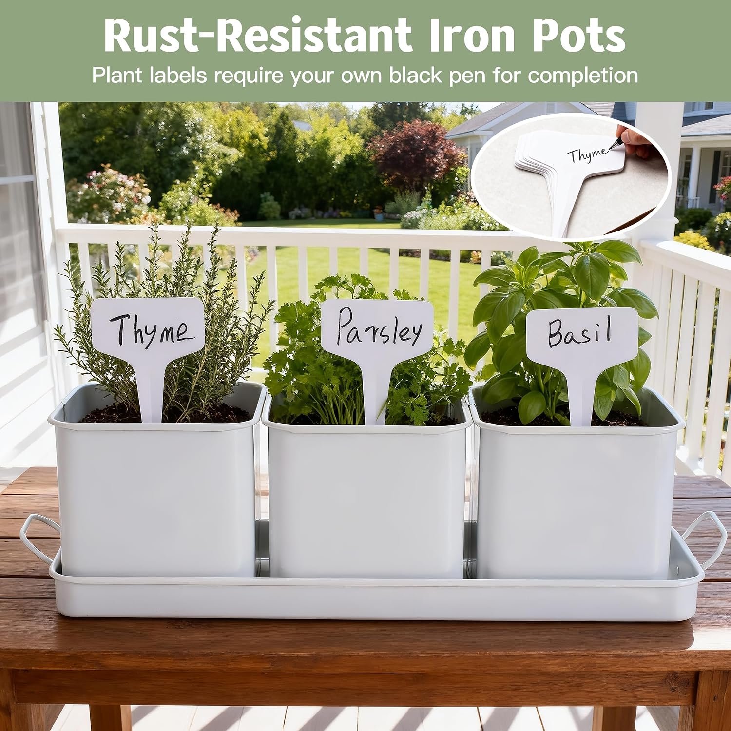 Indoor Herb Garden, Herb Planter Set with Handled Tray, 3 Iron Indoor Plant Pots with Drainage Holes, Windowsill