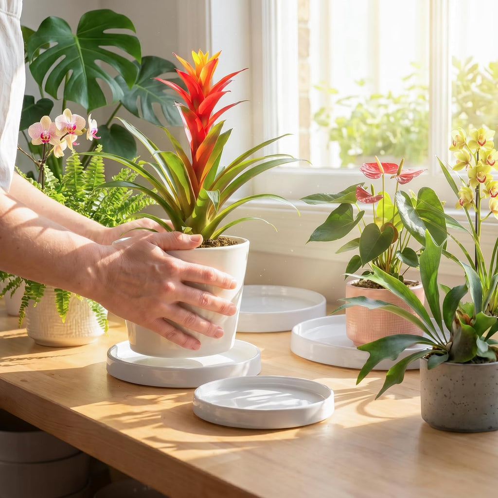 Ceramic Plant Saucer 12.5 Inch 1 Pack White, Fits Pot Base Under 12 Inch | Sturdy, Leak-Proof, Indoor Outdoor Planter