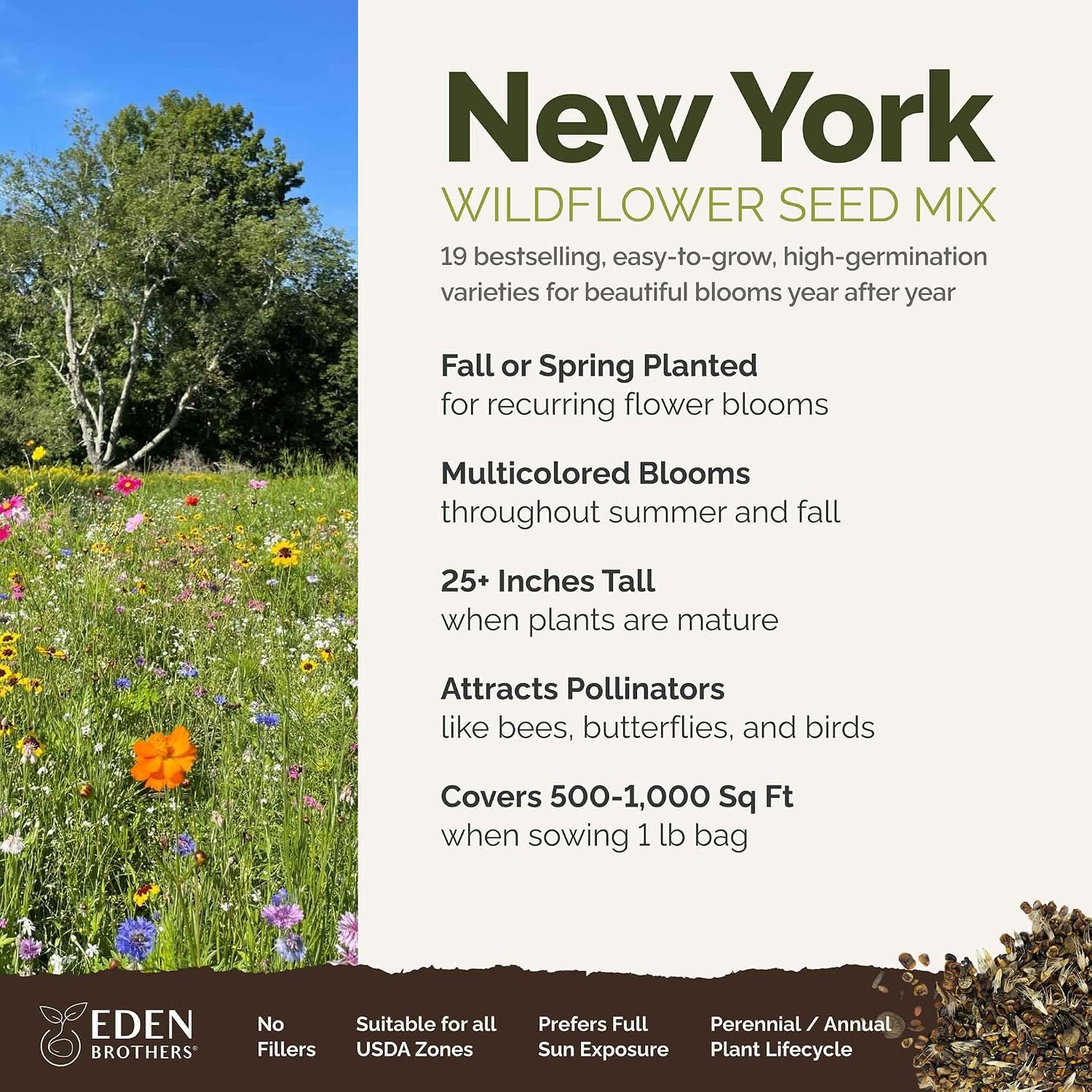 Eden Brothers New York Wildflower Mixed Seeds for Planting, 1 lb | 480,000+ Seeds with Coneflower, Cosmos, Attracts