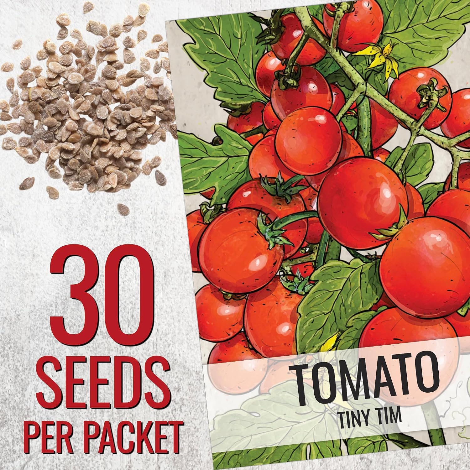 Seed Needs Tiny Tim Dwarf Tomato Seeds to Plant Heirloom Non-GMO 10 Pack