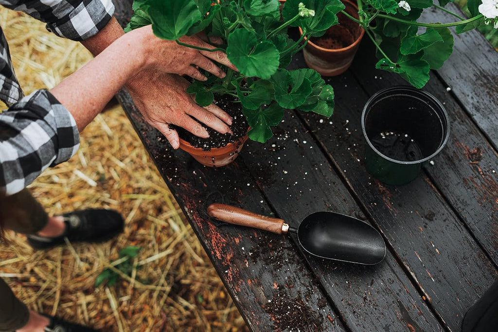 Barebones Garden Scoop - Garden Spoon - Stainless Steel Small Hand Shovel for Transplanting, Digging, and Planting