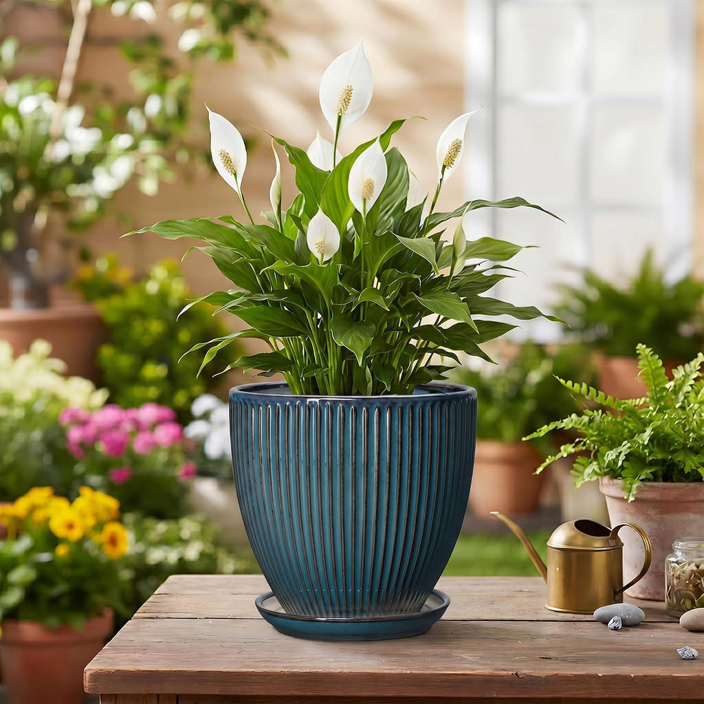 6 Inch Plant Pot, Ceramic Flower Pots for Indoor Plants, Round Planters with Drainage Hole and Saucer, Decorative Small