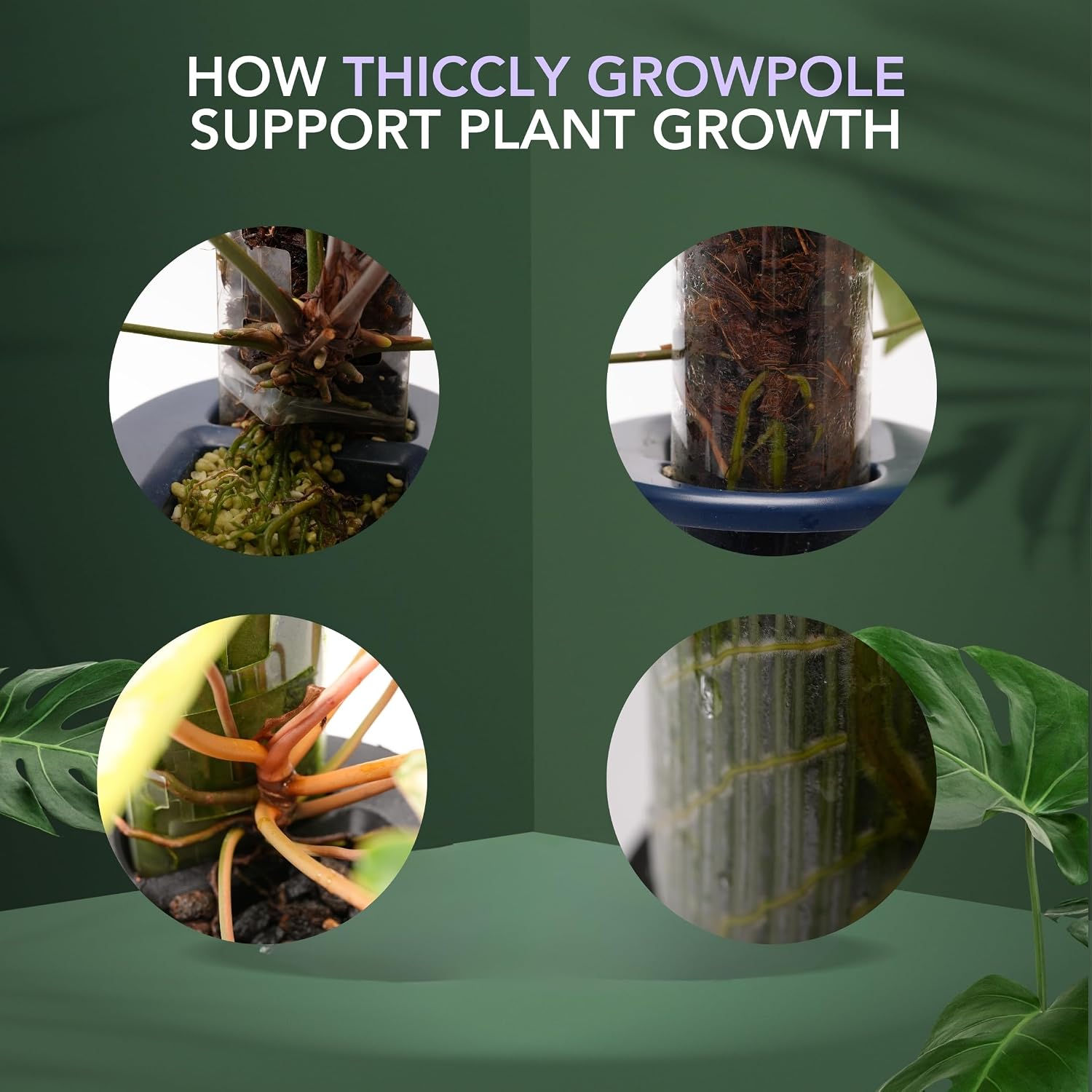 THICCLY Small GrowLid 10 Pcs (Clear) - Self Watering Clear D-Shaped Plastic Moss Pole Hydroponics Growing System Kratky