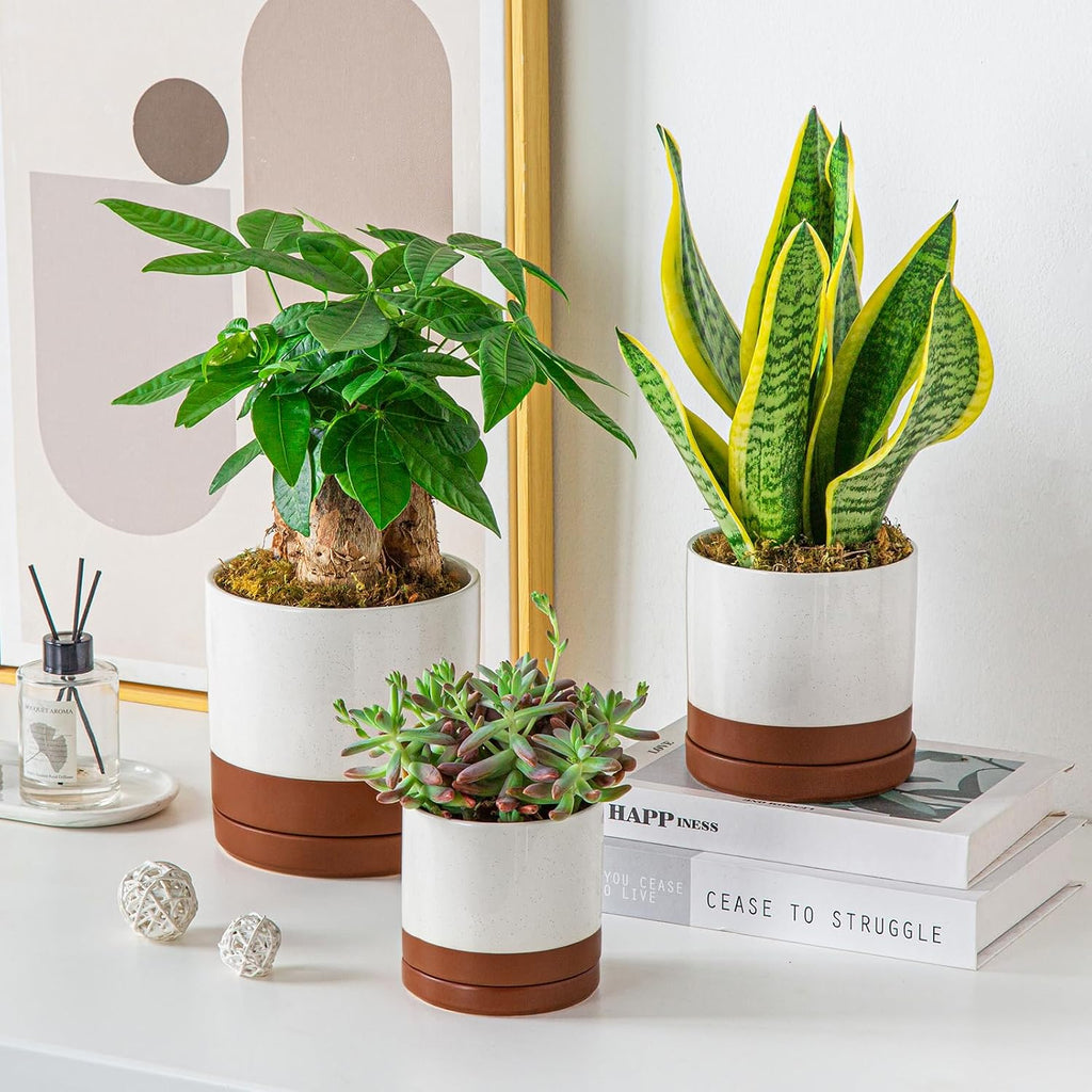 vancasso Ceramic Plant Pots, 3 Piece Planters for Indoor Plants, Khaki | 4.25+5.25+6.25 Inch Flower Pots with Drainage