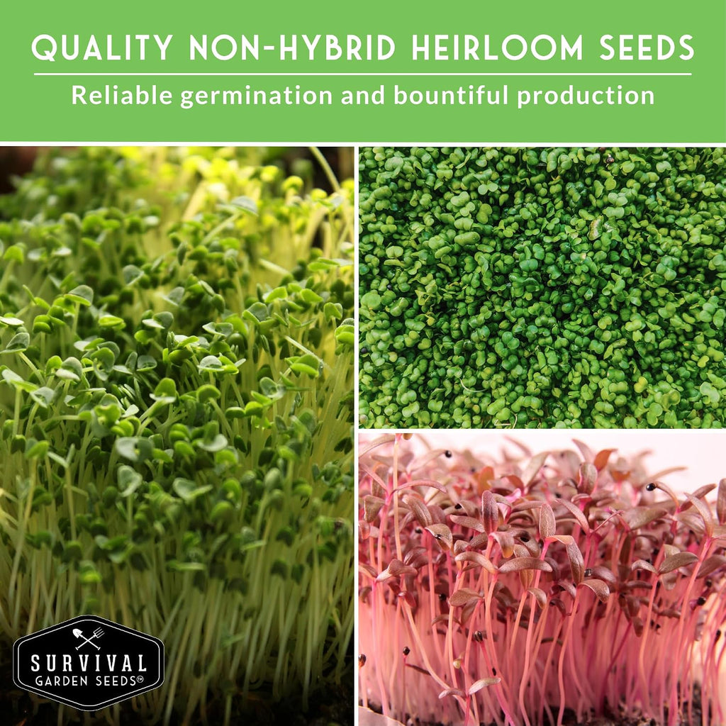 Microgreens Seeds Variety Pack – 15 Heirloom Sprouting Varieties | Indoor Countertop Growing – Broccoli, Radish, Kale