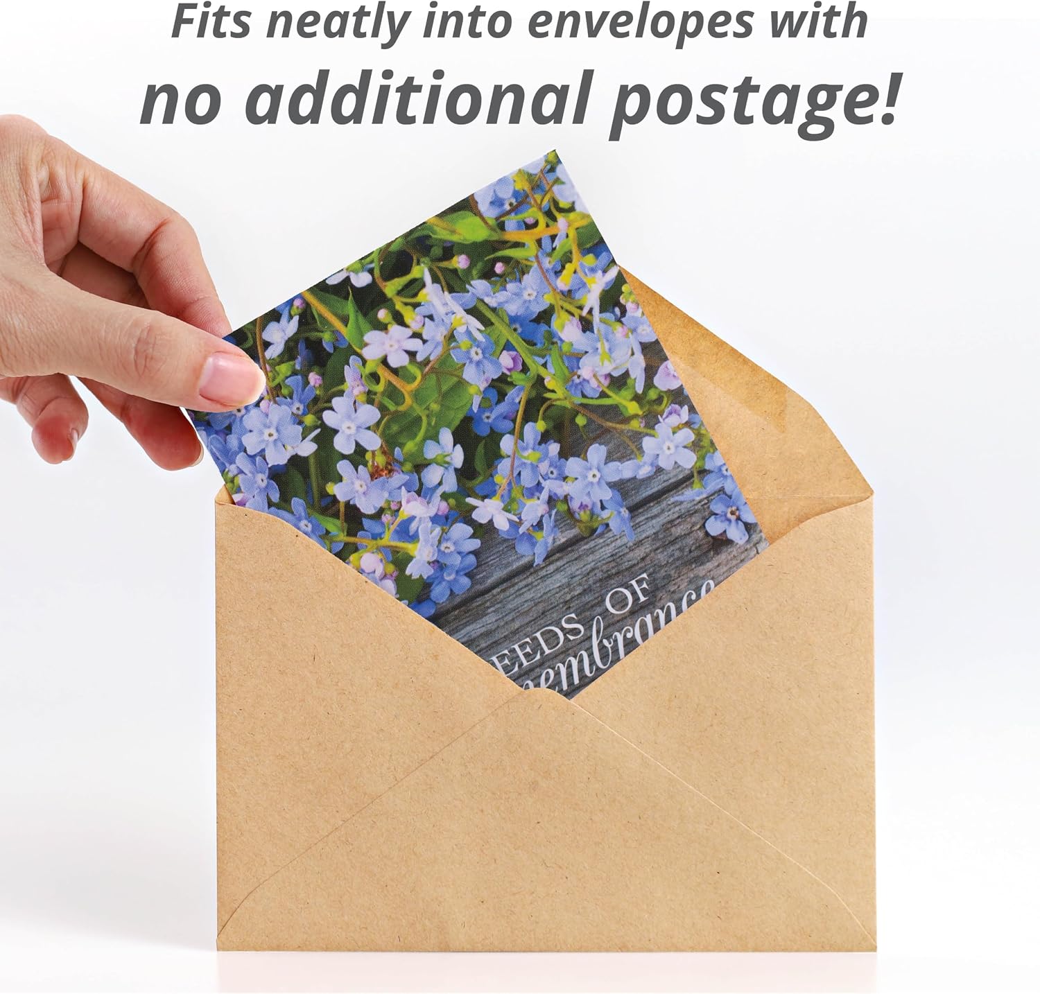 Seeds of Remembrance | Pre Filled Non-GMO, Non-Coated Forget Me Not Seeds Packets | Perfect Memorial Service Giveaways