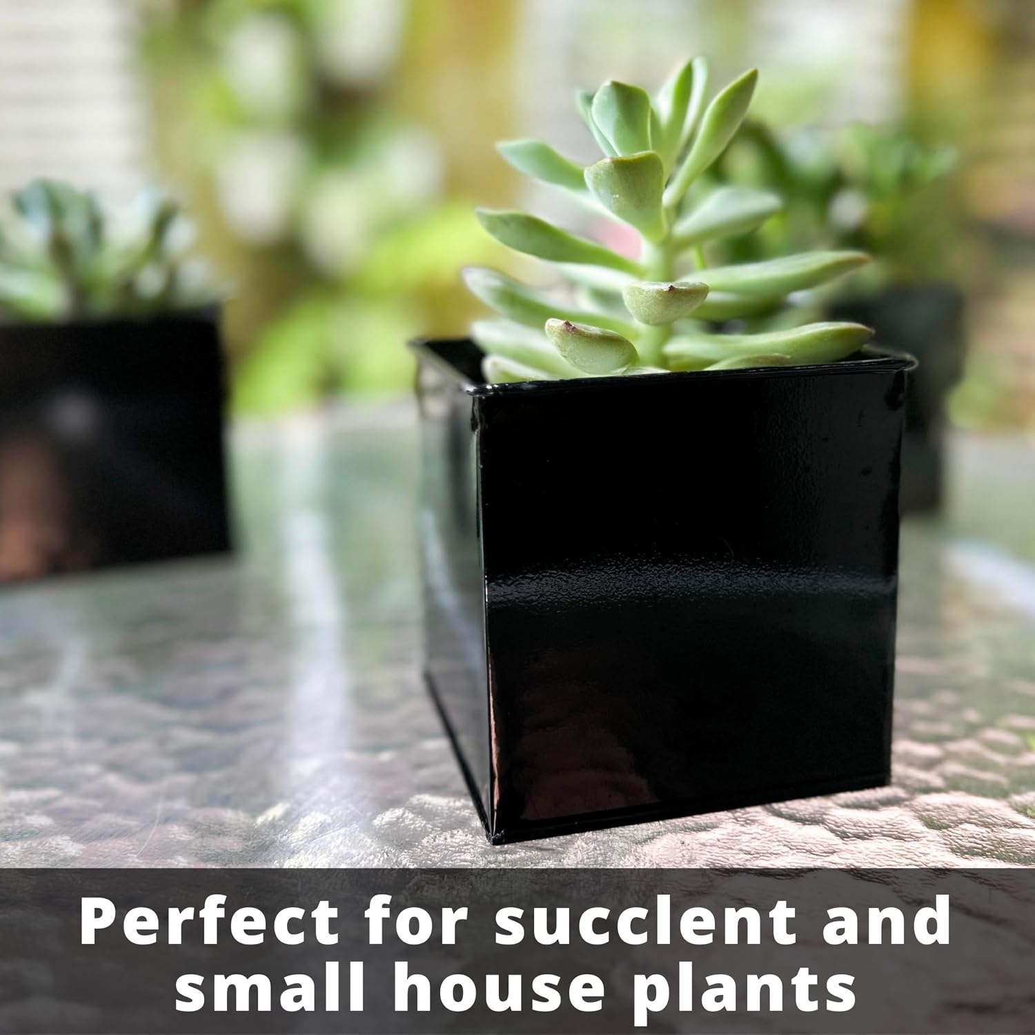 LaLaGreen Indoor Wall Planter (4 in, 6 Pack) Black Square Metal Wall Decor | Wall decor plant shelf black square small