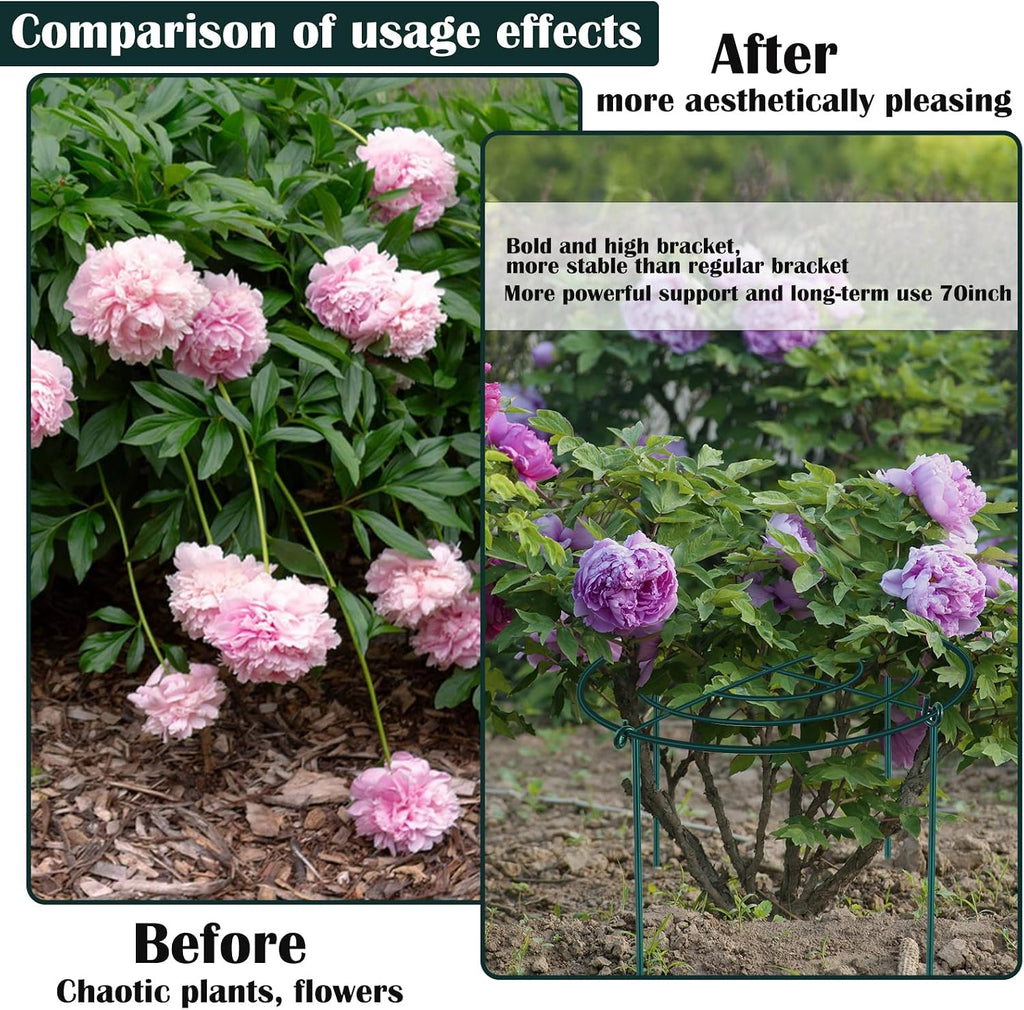 2Set Metal Peony Grid Cages, 30"H X 13"D Large Flower Support Cages Grow Through Hoop Ring Peony Stakes Garden Plant