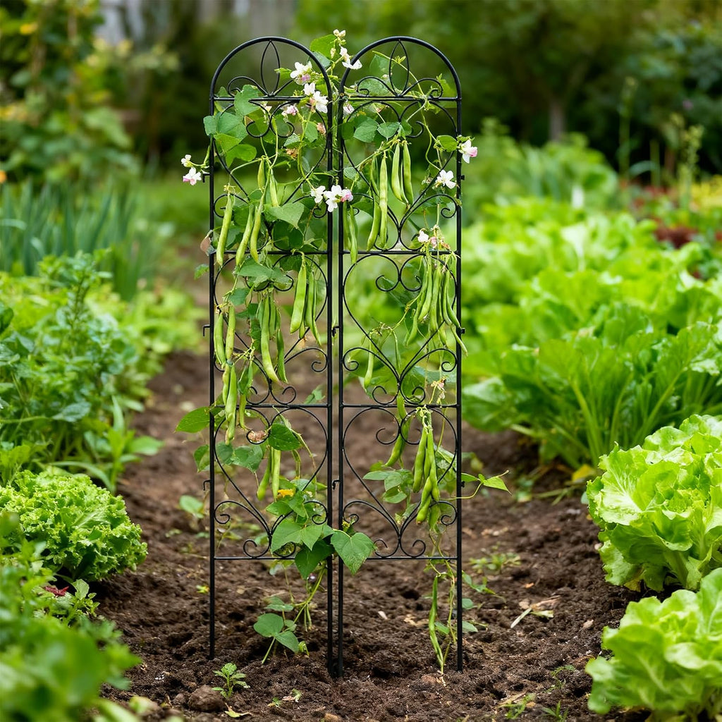 2 Pack Garden Trellis, Metal Trellis for Outdoor Climbing Plants | Sturdy Plant Support Frame for Roses, Vines &