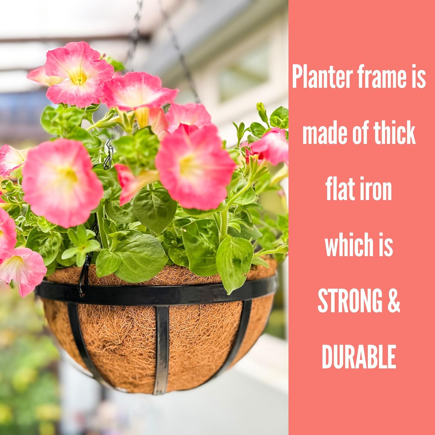 LaLaGreen Outdoor Hanging Baskets for Plants (16 Inch, 6 Pack) Large Hanging Planter with Coco Liner, Black Plant Metal