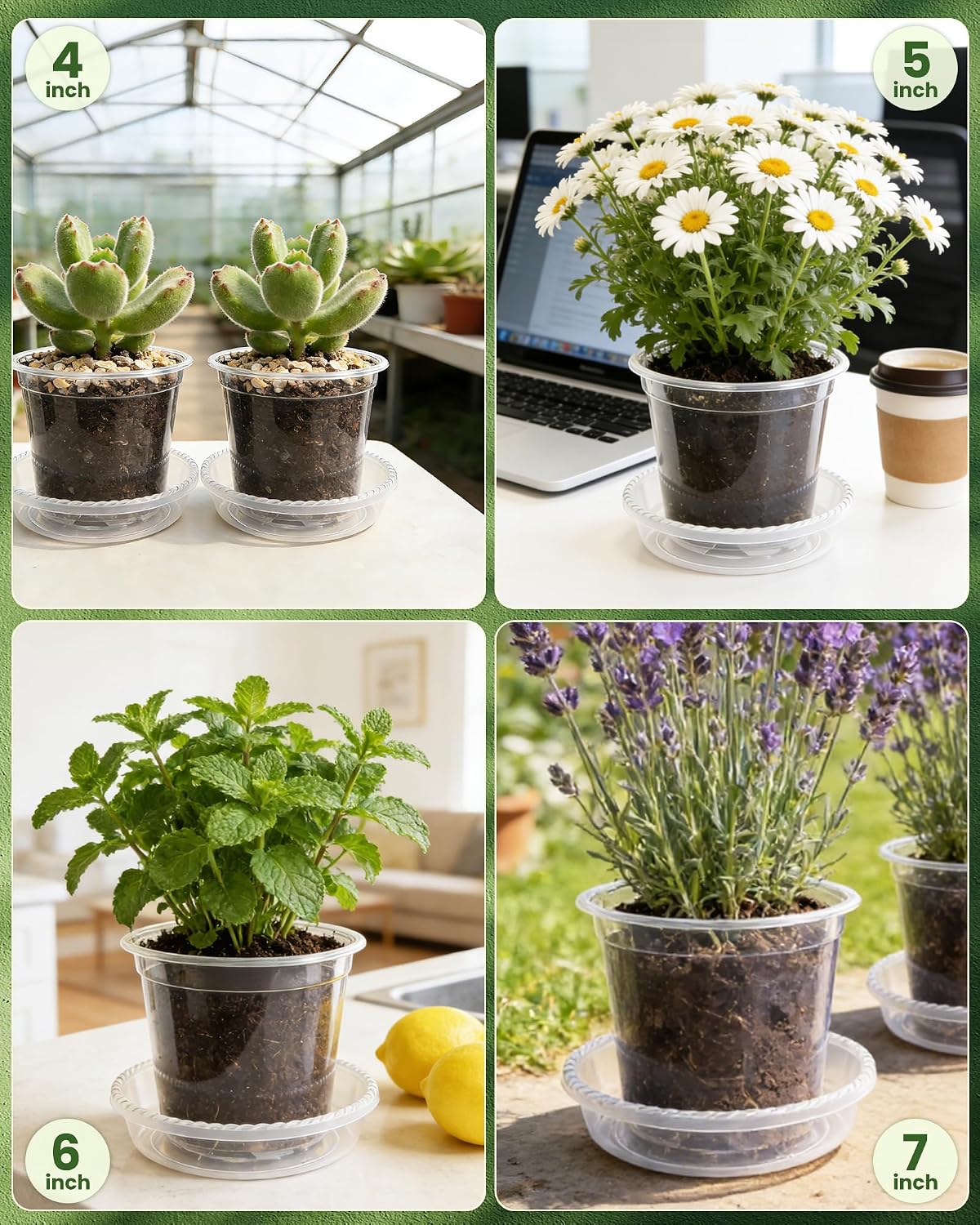 24 Pcs 7/6/5/4 In Clear Nursery Pots for Plants with Saucers, 24 Labels | High Transparency (Clear View of Root