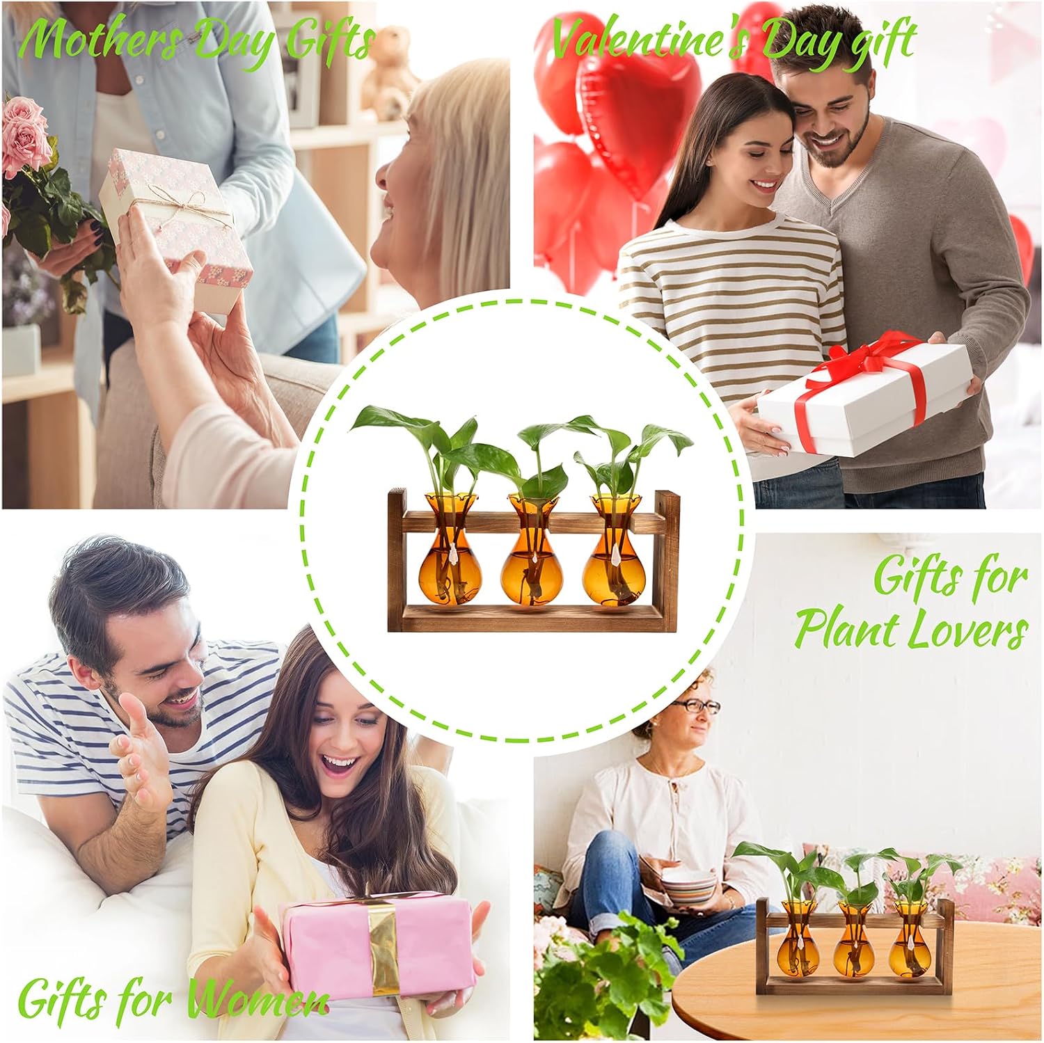 Plant Propagation Station Plant Terrarium Unique Birthday Gifts for Women | Plant Lovers Home Office Decor Planter with