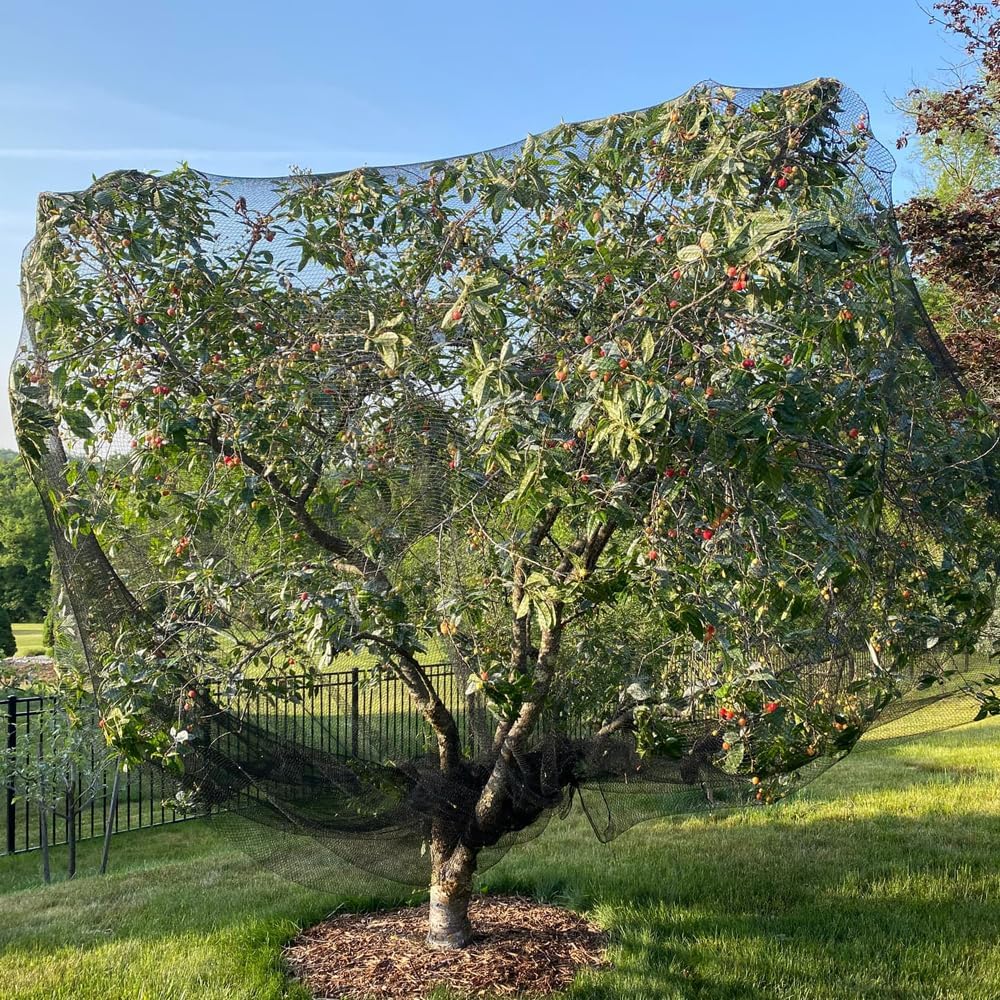Bird Netting for Chicken Coop 25x50 Ft, 1" Mesh Aviary Netting | Woven Chicken Run Roof Cover, Protects Against Hawks &
