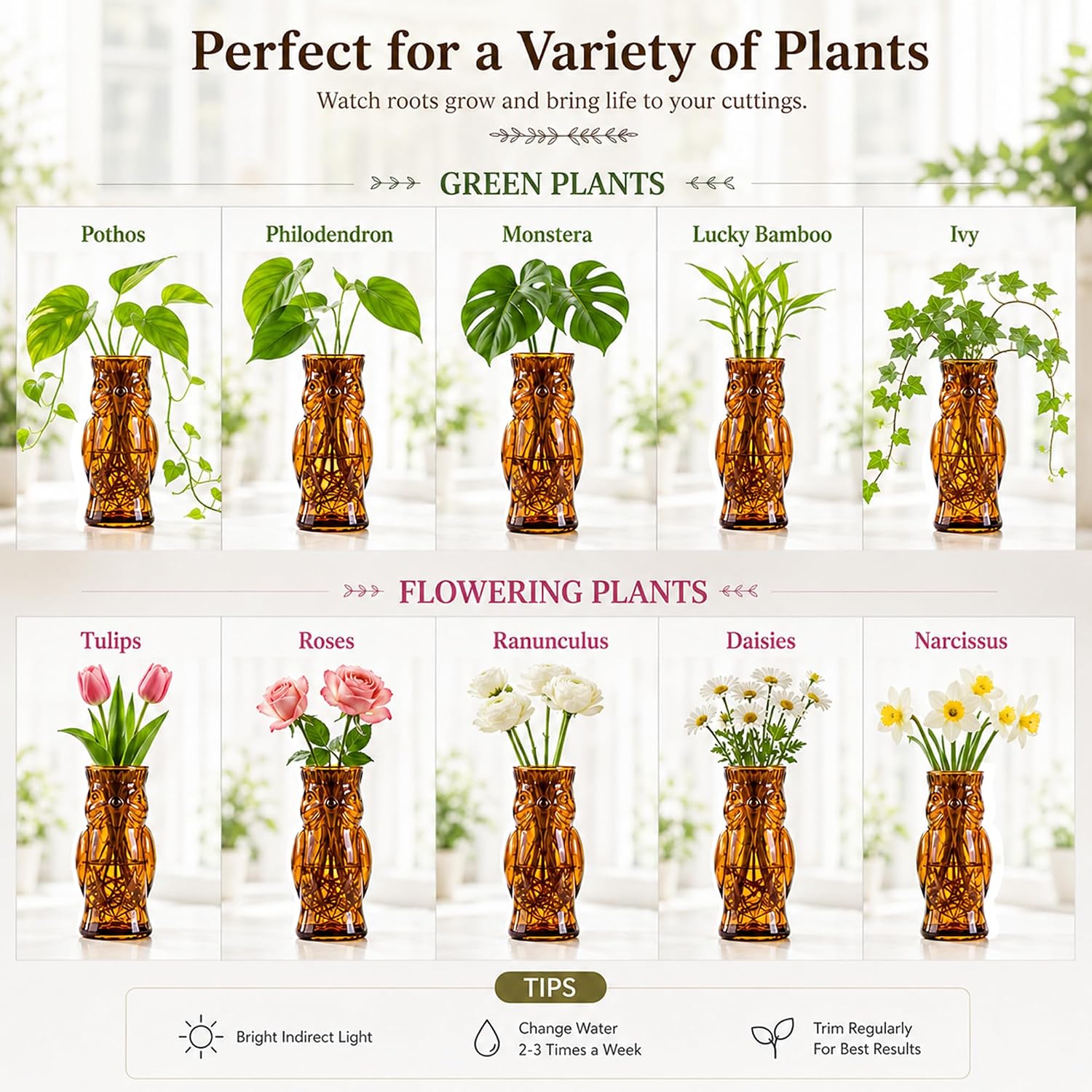 Owl Plant Propagation Station: Set of 4 Cute Brown Glass Vases | Small Plant Terrarium for Hydroponics, Home Office