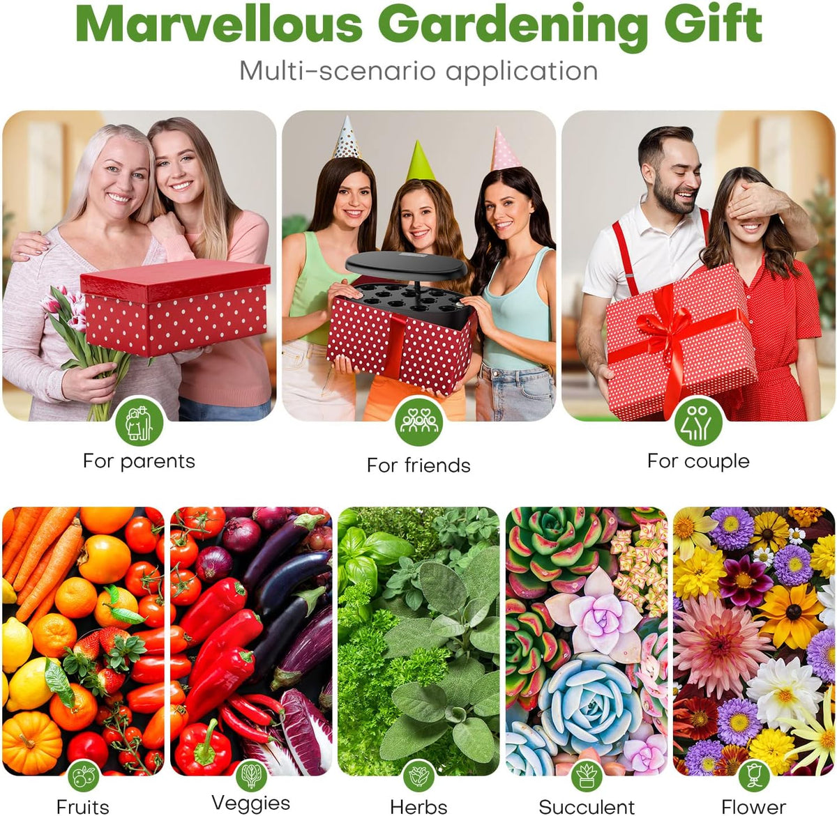 Hydroponics Growing System: 12 Pods Indoor Herb Garden with LED | Plant Germination Kit with LED Grow Light，Countertop
