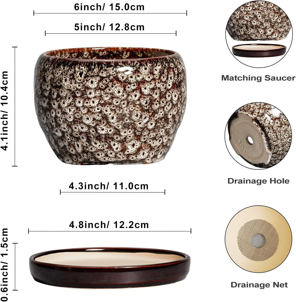 SQOWL Ceramic Plant Pots - 6 Inch Ceramic Planter for Indoor Outdoor, Small Flower Pots with Drainage Hole and Saucer
