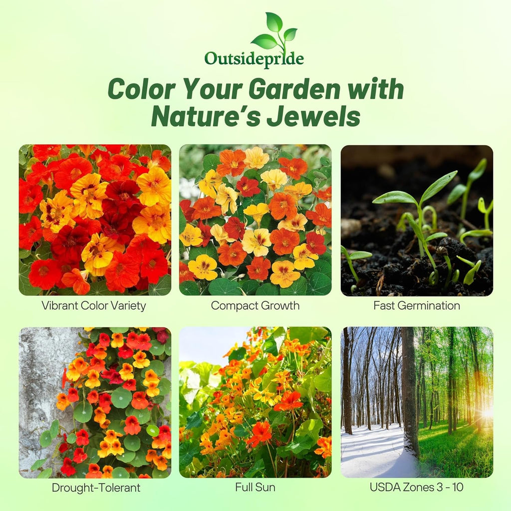 Outsidepride Jewel Mix Nasturtium Seeds - 5 lbs. Annual, Easy to Grow & Versatile, Flower Seeds for Planting Vibrant
