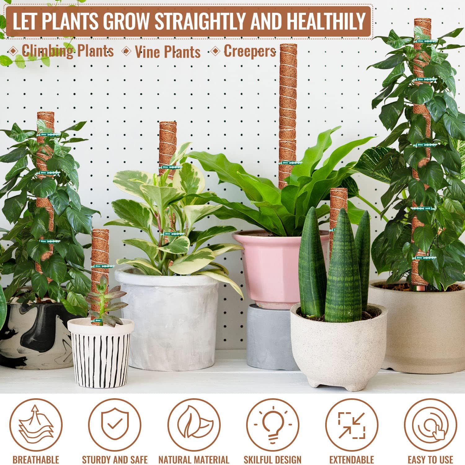 Coir Moss Poles for Climbing Plants, 8 Pcs 12'' Coir Moss Totem Stick | with 16 Pcs Adjustable Plant Ties, For Creepers