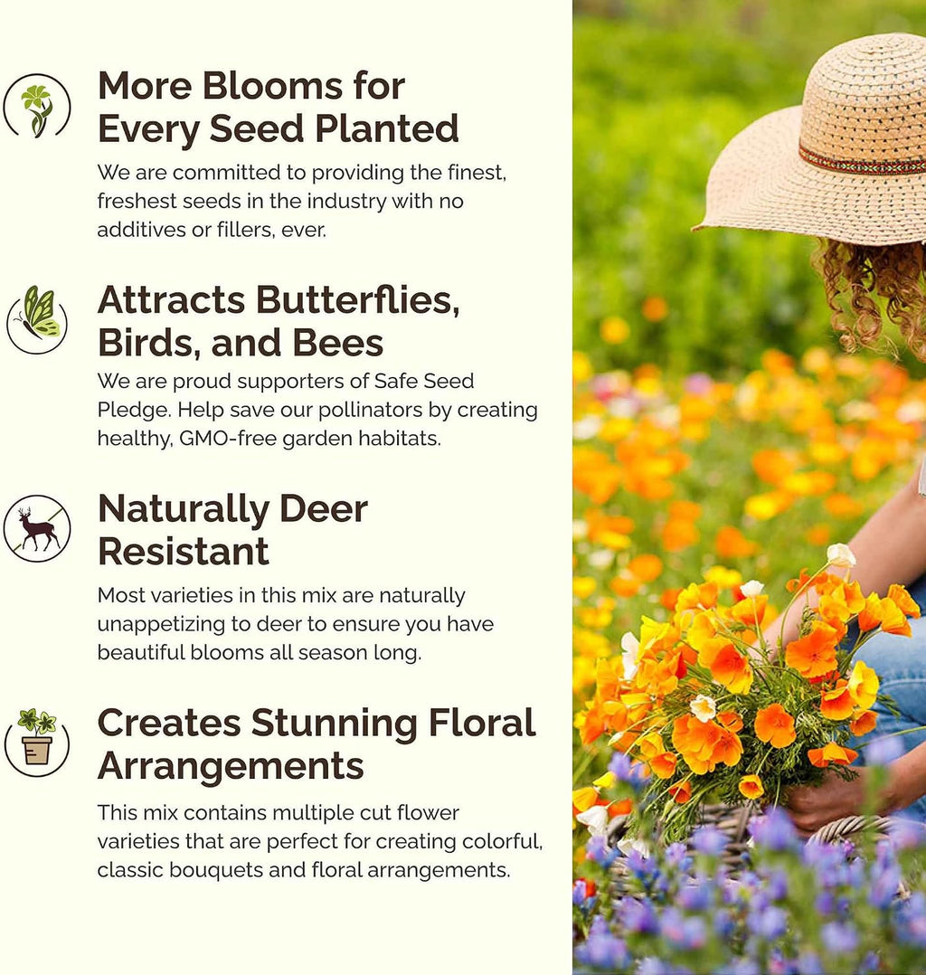 Eden Brothers Rugged Beauty Flower Mixed Seeds for Planting, 1 lb, 480,000+ Seeds with Cornflower Tall Blue, Candytuft