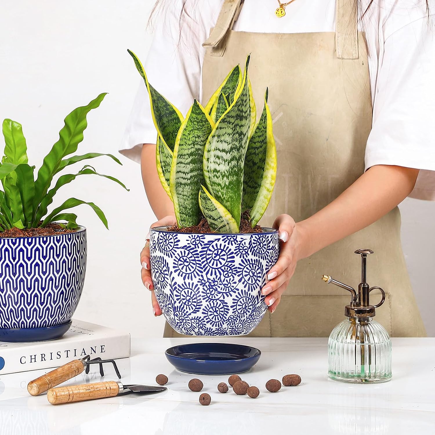 Selamica Ceramica Plant Pots, 6.5 Inch Flower Pots Set of 2 with Drainage Holes & Saucer, Planters for Indoor Plants