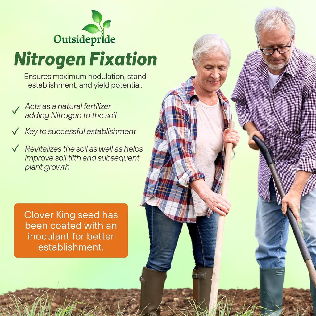 Outsidepride Perennial Clover King Seed Mix - 5 lbs Nitrocoated, Inoculated, Heat & Cold Tolerant, Alfalfa-Enhanced