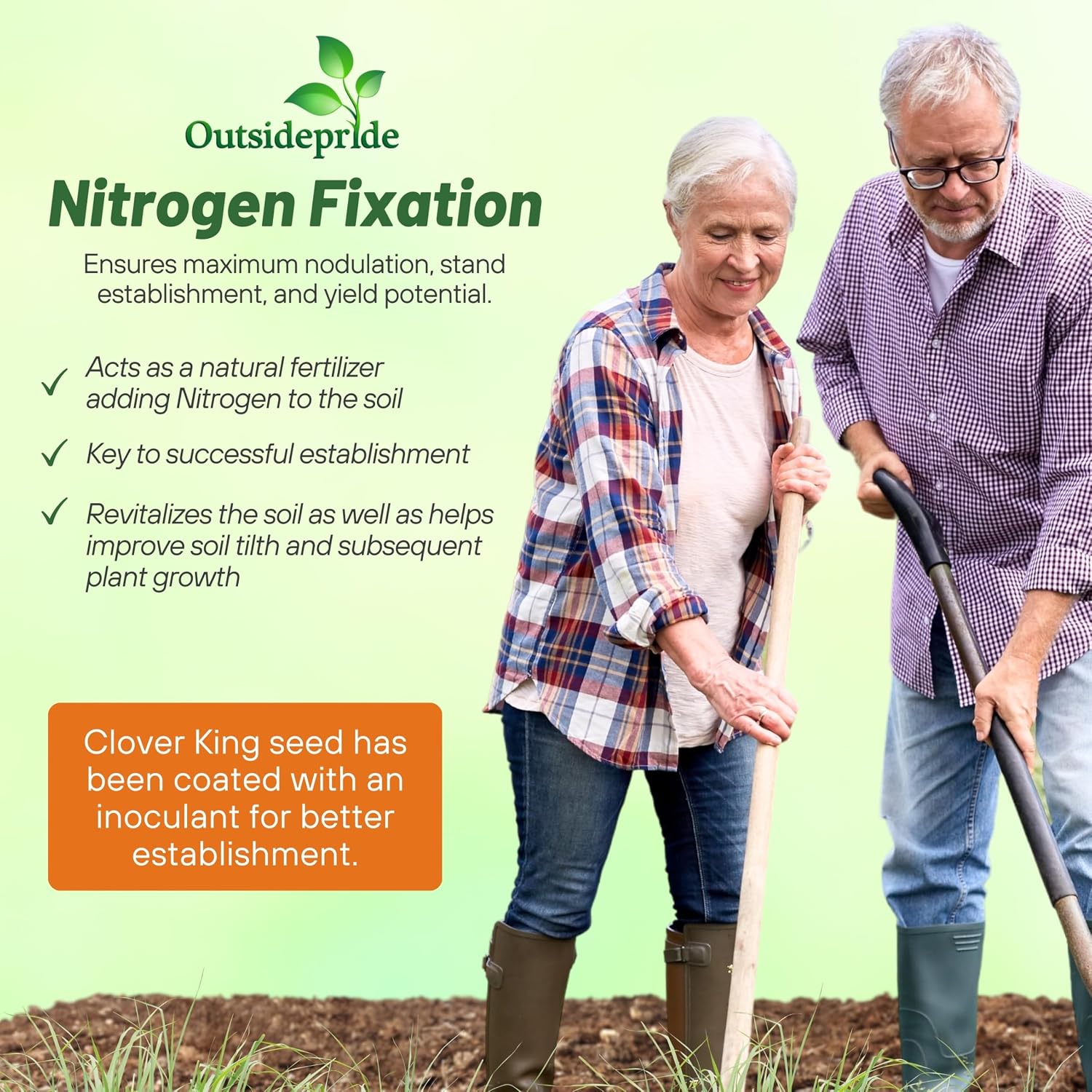 Outsidepride Perennial Clover King Seed Mix - 5 lbs Nitrocoated, Inoculated, Heat & Cold Tolerant, Alfalfa-Enhanced