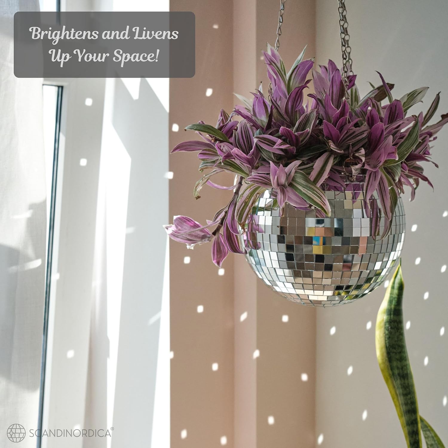Disco Ball Planter – Value Package: Disco Pot with Chain, Macrame Hanger, Acrylic Stand and Self Watering Insert | 8