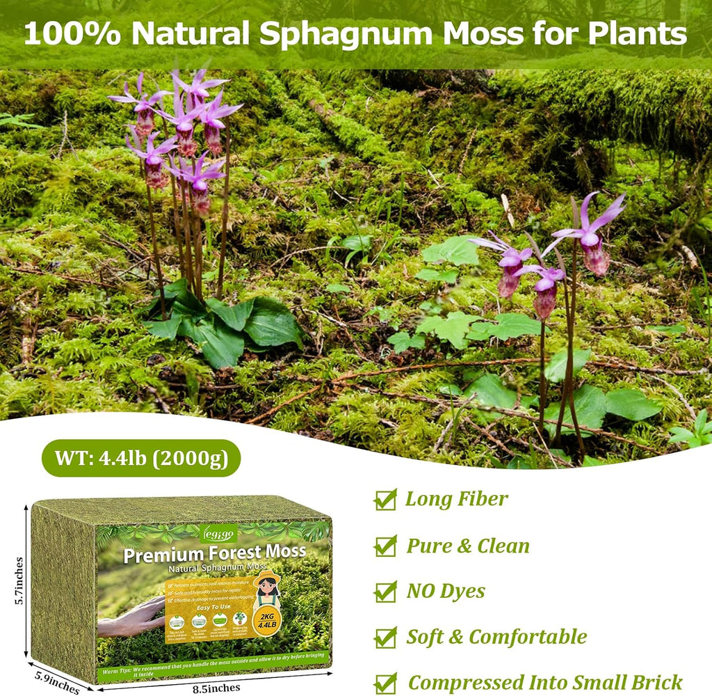 4.4LB Sphagnum Moss for Plants, 80QT Natural Long Fiber Orchid Moss | Drainage & Moisture Retention, Green Plant Moss