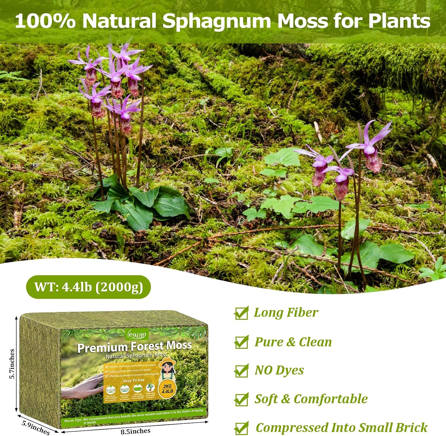 4.4LB Sphagnum Moss for Plants, 80QT Natural Long Fiber Orchid Moss | Drainage & Moisture Retention, Green Plant Moss