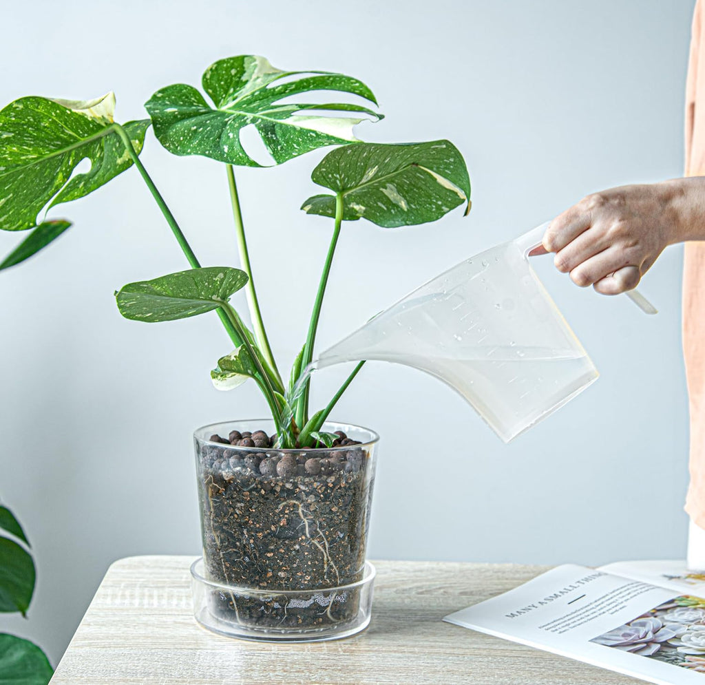 Phoenix Vine 4.5 Inch 6.5 Inch Clear Acrylic Houseplants Planter Pot with Tray, Orchid Pot with Drainage Holes, Deep