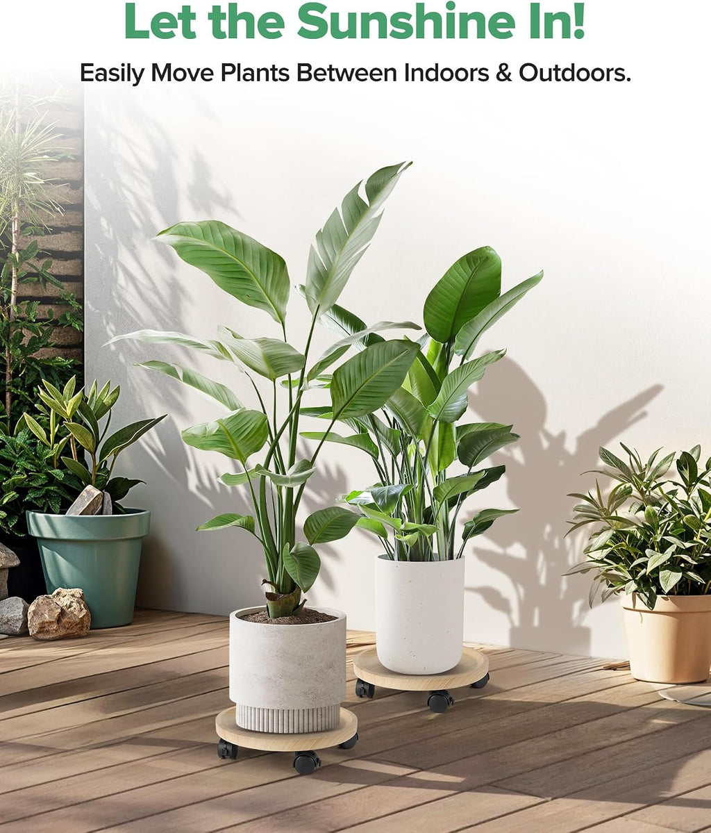 2 Pack Plant Caddy With Wheels, 12" Wood Rolling Plant Stand with 360° Lockable Wheels, Plant Stands Outdoor for Large