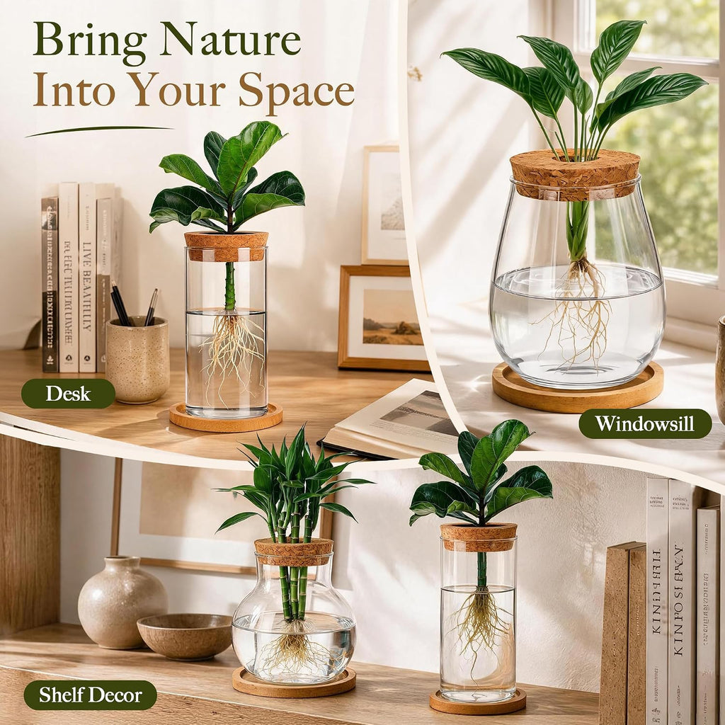 6 Pcs Plant Propagation Station Set, Glass Propagation Vases for Plants with Wooden Lids & Bamboo Stands, Hydroponic