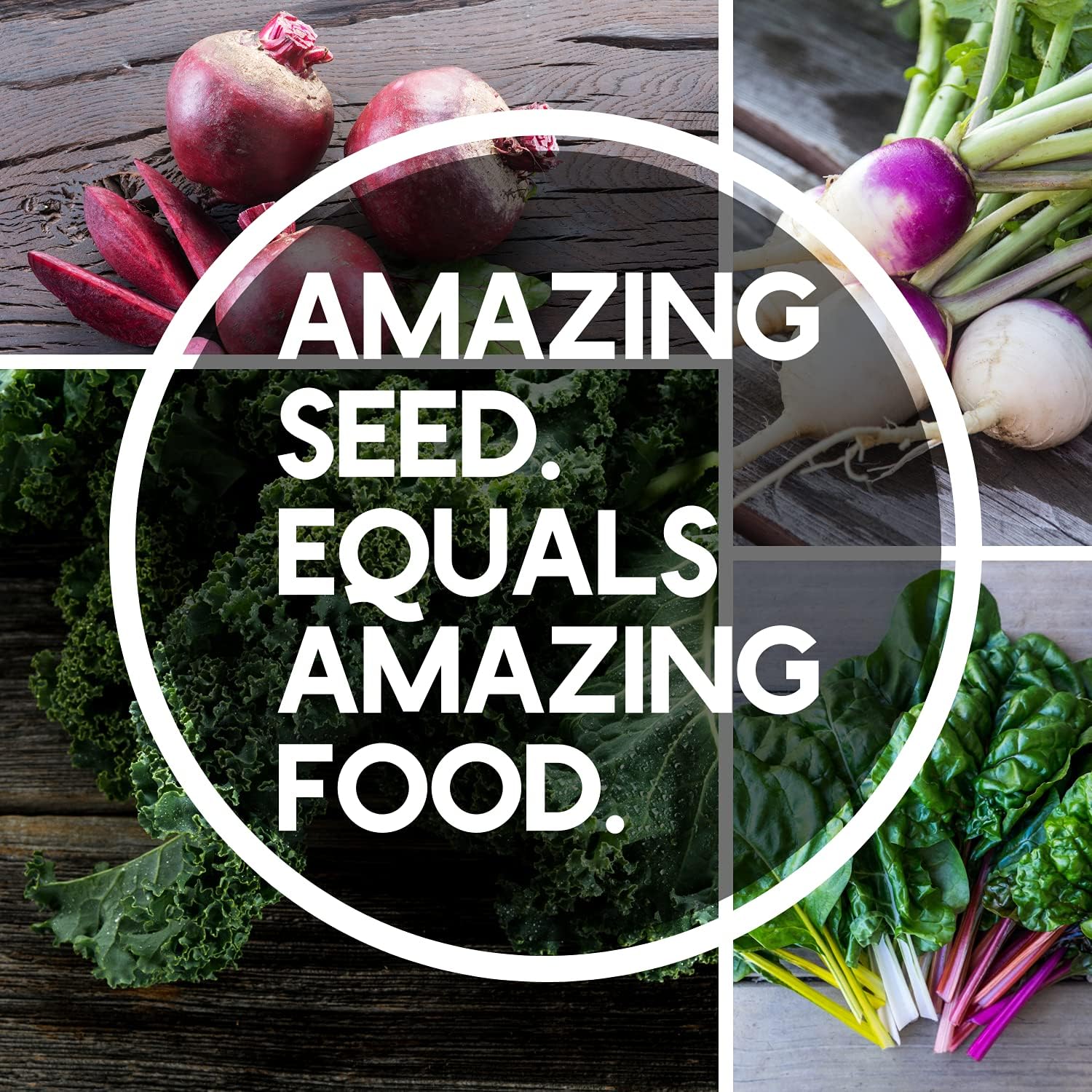 Mountain Valley Seed Co Fall Garden Heirloom Vegetable Seed ~3,800+ Seeds | 7 Varieties of Seeds to Sow in Fall Months