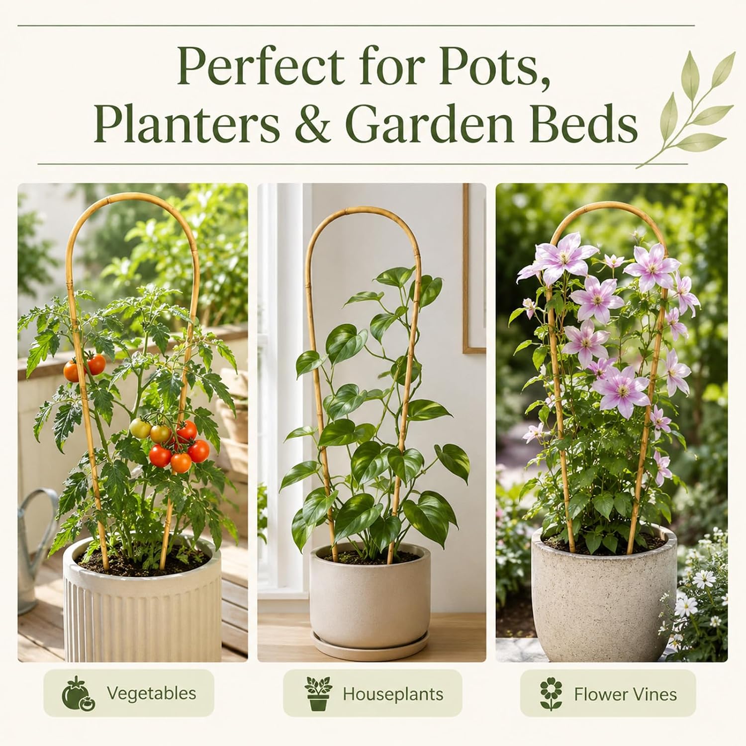 36in Natural Bamboo U-Hoop Trellis for Climbing Plants, 3 PCS | U-Shaped Plant Support Hoop for Potted Plants, Vines