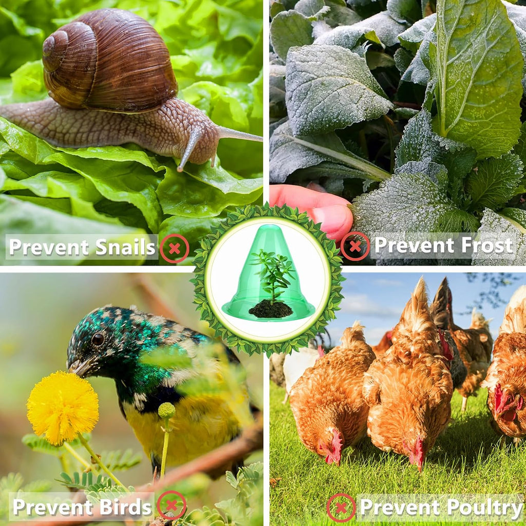 【20 Pieces】 Garden Cloches for Plants, Large Plant Covers Plant Protectors Transparent Bell Jar Cloches to Protect