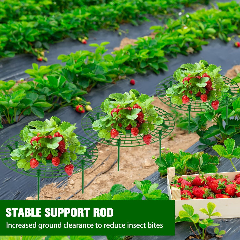 Irenare 12 Pack Strawberry Plant Support with Plant Labels Large Size Strawberry Growing Racks Growing Frame Stand