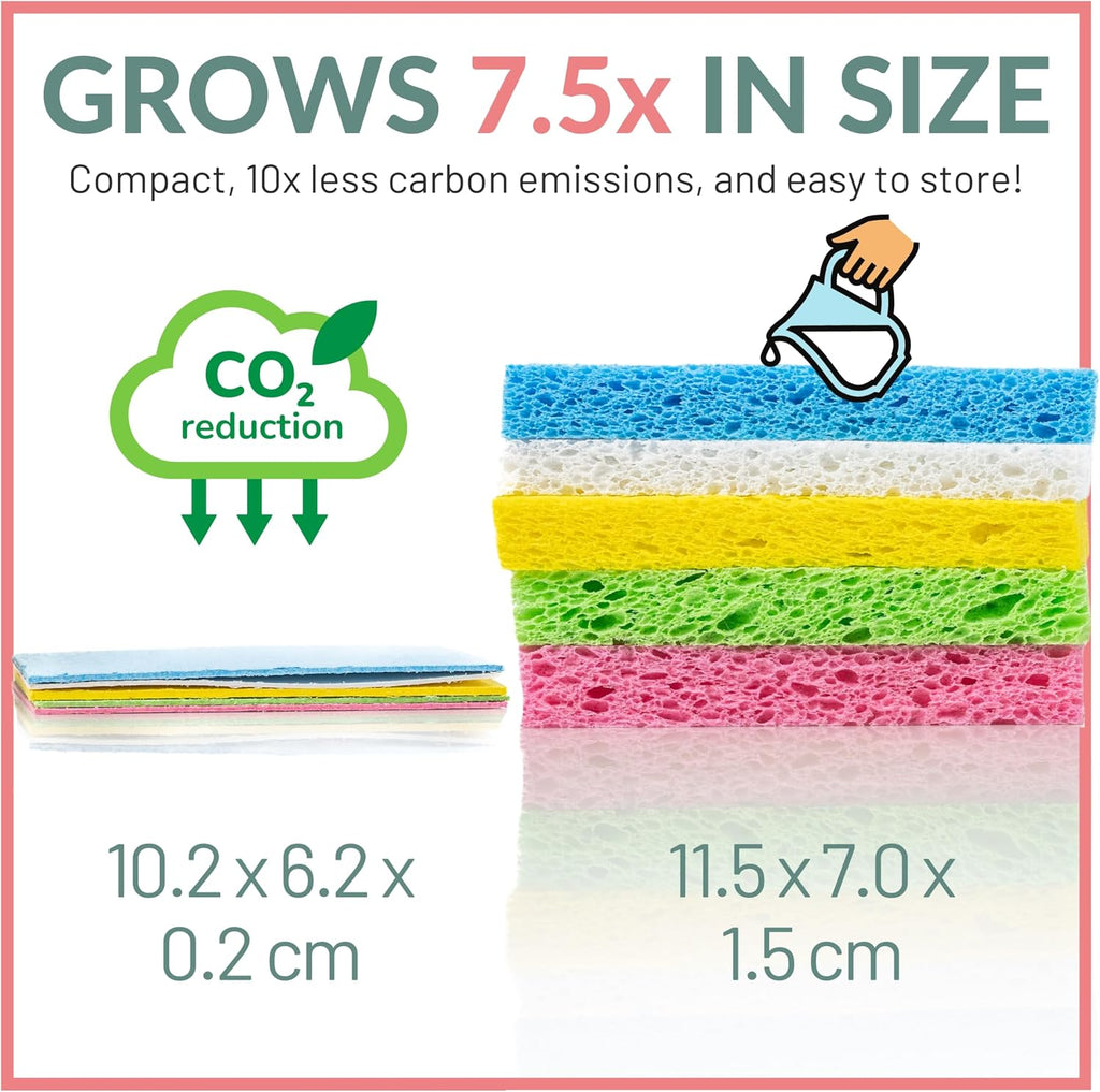bioGo 30 Pack Compostable Pop-Up Sponges - Expanding, Non-Scratch, Plant-Based Dish - Bulk Color - Pop Up Sponge