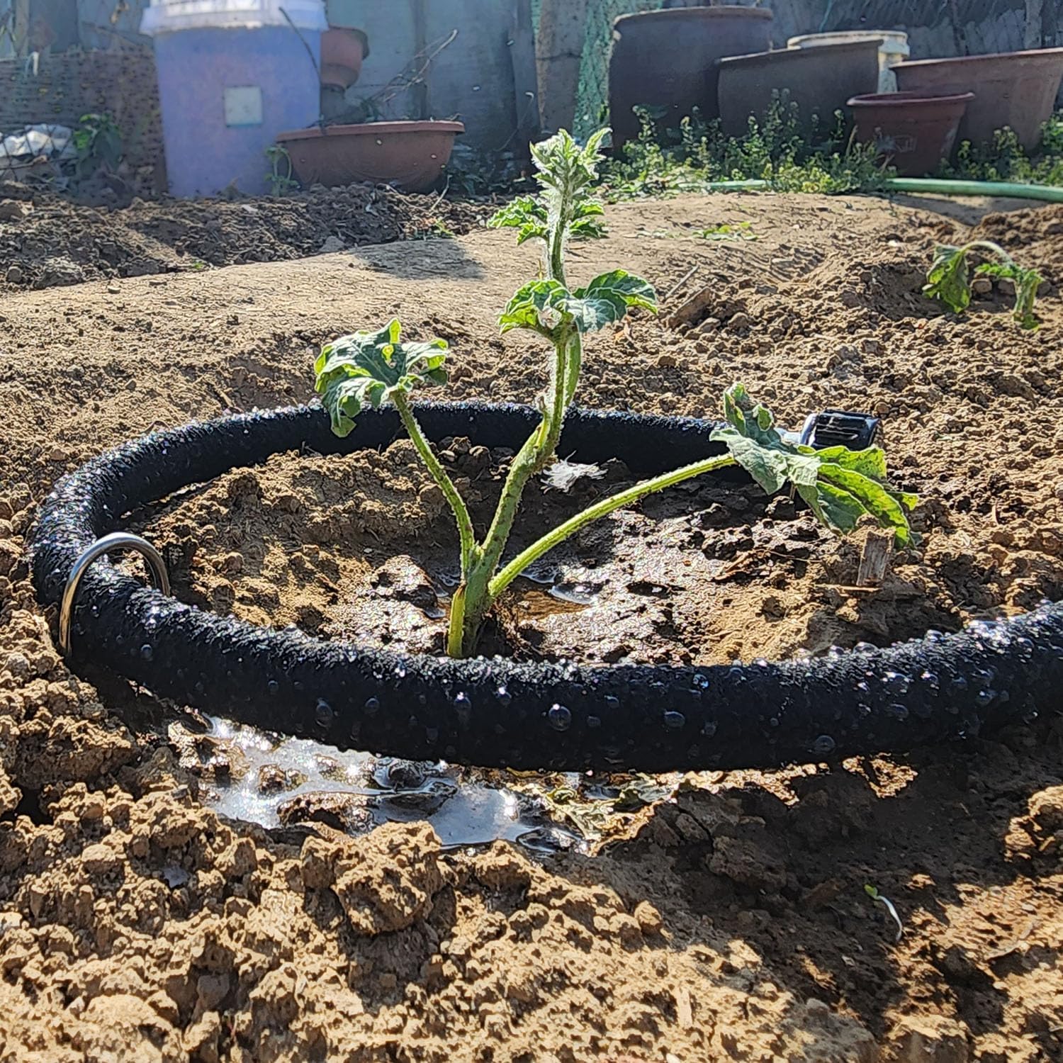 Atlantic Short Soaker Hose 10 FT x1/2" Garden Soaker Hose, Water Seeper Hoses for Foundation Watering, Garden Beds
