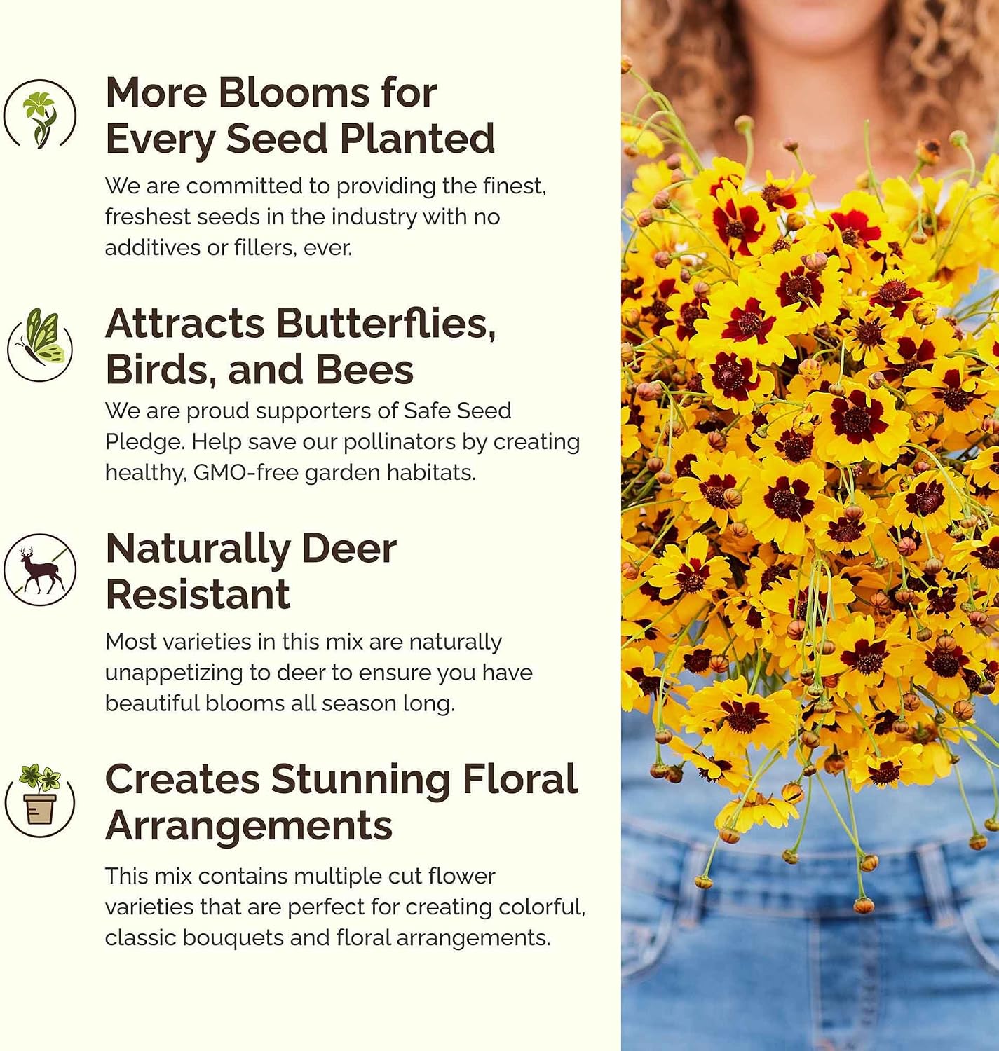 Eden Brothers Southwest Wildflower Mixed Seeds for Planting, 5 lb | 2,400,000+ Seeds with Cornflower, Blanket Flower
