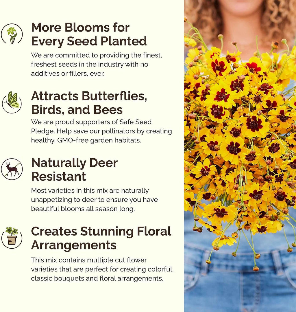 Eden Brothers Southwest Wildflower Mixed Seeds for Planting, 1 lb | 480,000+ Seeds with Cornflower, Blanket Flower