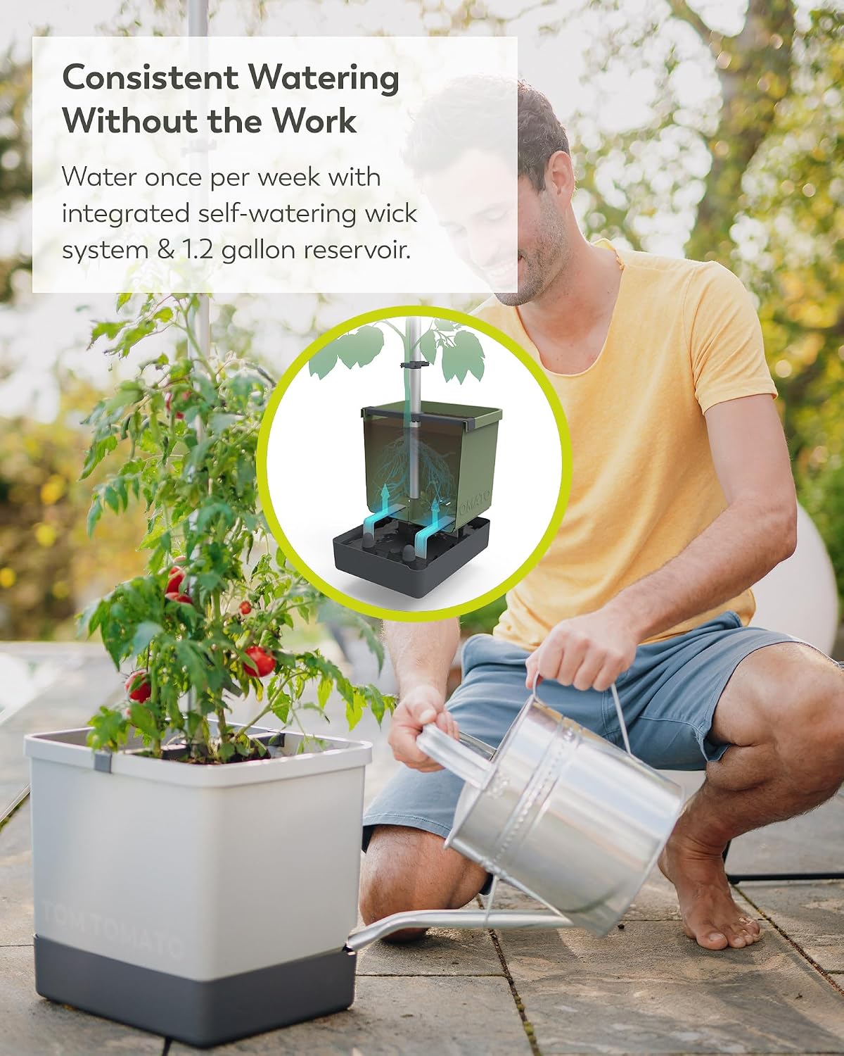BUZZY Seeds Self-Watering Vertical Tomato Planter, Trellis, 1.2 Gal, Gray | Self-watering vertical planter with