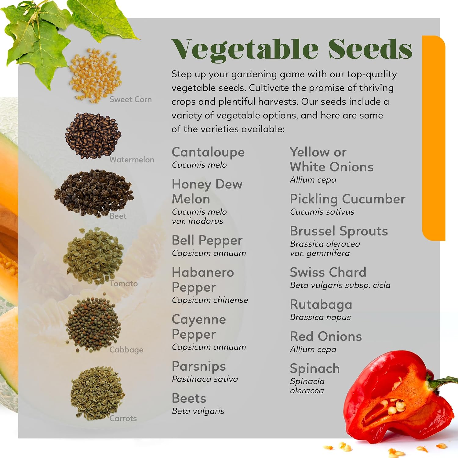 Organic Heirloom Seed Kit - 70+ Varieties, 50,000+ Seeds - Diverse Fruits, Vegetables, & Herbs for Gardening- Includes