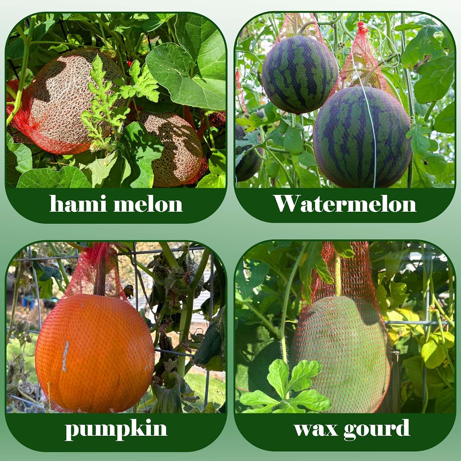 200 Pack Watermelon Nets, Reusable Hanging Melon Support Nets | Melon Hammocks Cradles Fruit Watermelon Net Bag for