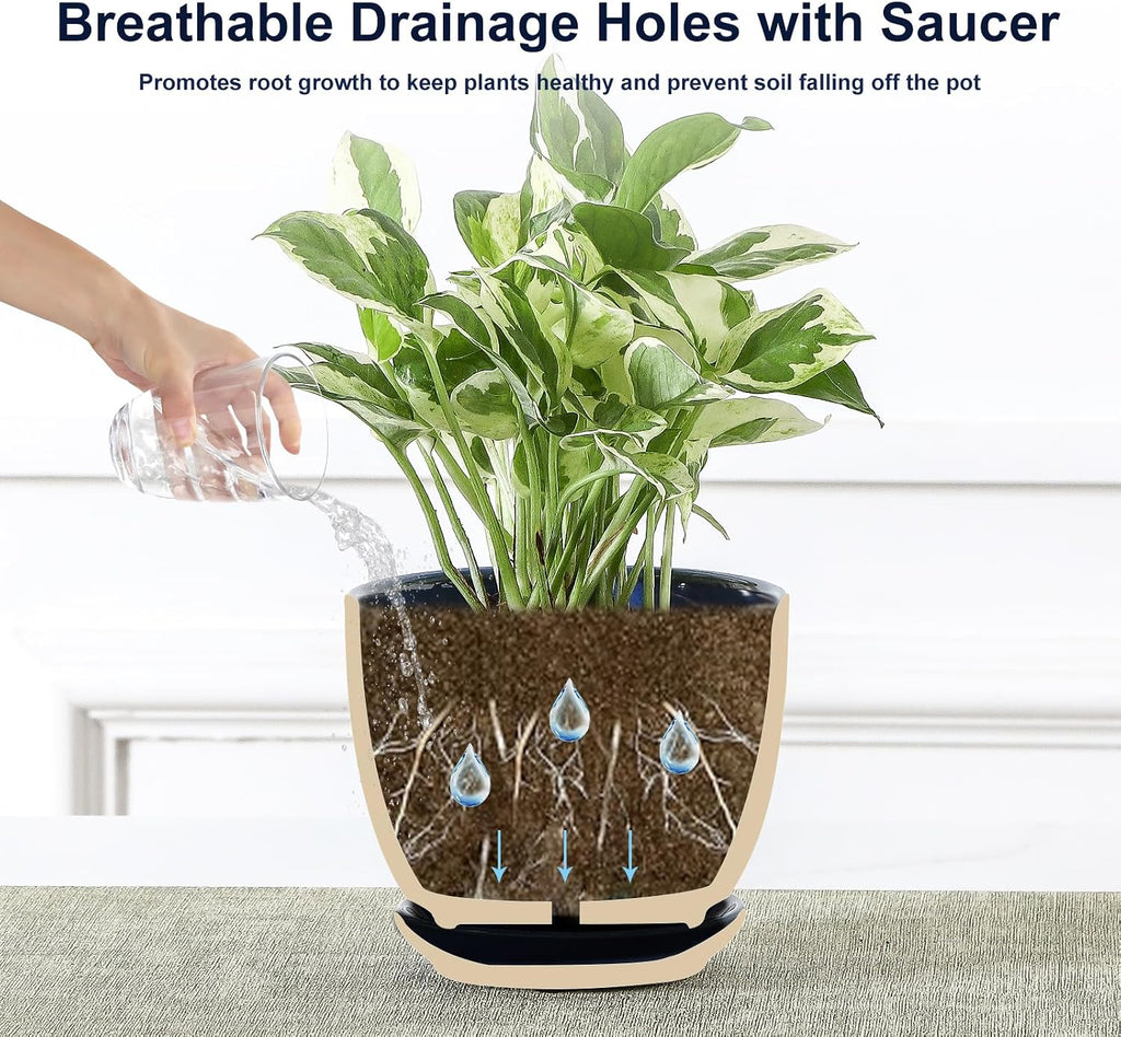 Sureasy Succulent Pots, 3.5 Inch Flower Pots for Indoor Plants, Small Plant Pots with Saucer & Drainage, Decorative