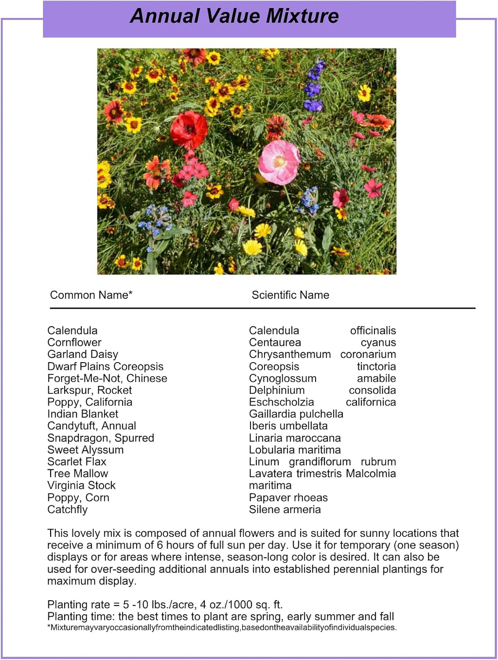 Wildflower Seed Shaker – Annual Mix by GevaGrow | 17 Variety Flower Seeds for Planting in Pots & Outdoor Gardens, Bulk