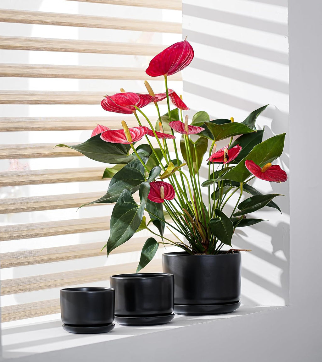 Flower Pots,Ceramic Pots with Drainage Holes & Saucer Set of 3(Matte Black) | Planters for Indoor Plants | Small