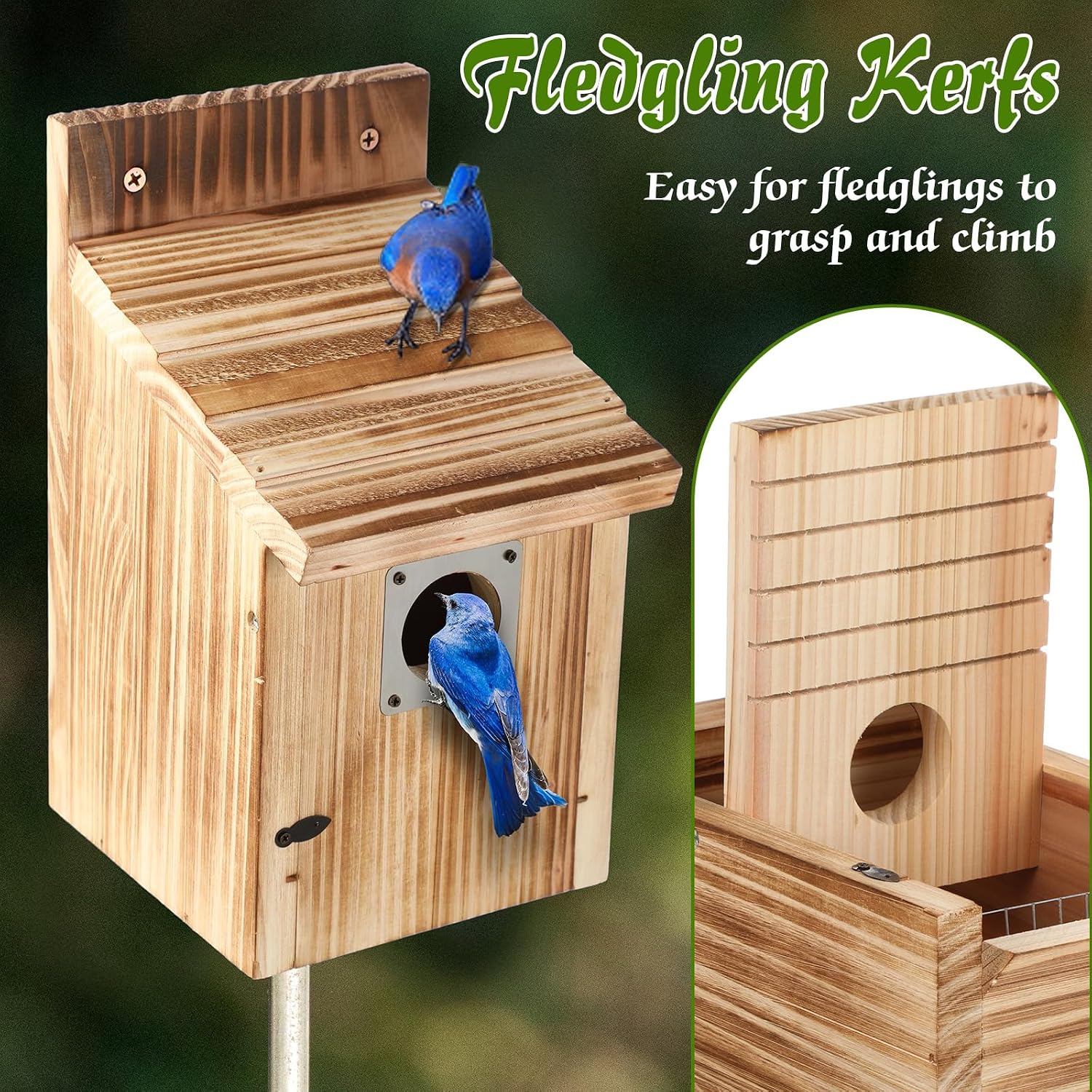 Dreyoo Bluebird Houses for Outside, 1-1/2” Entrance Hole Wooden Bird Houses for Outdoor with Metal Predator Guard