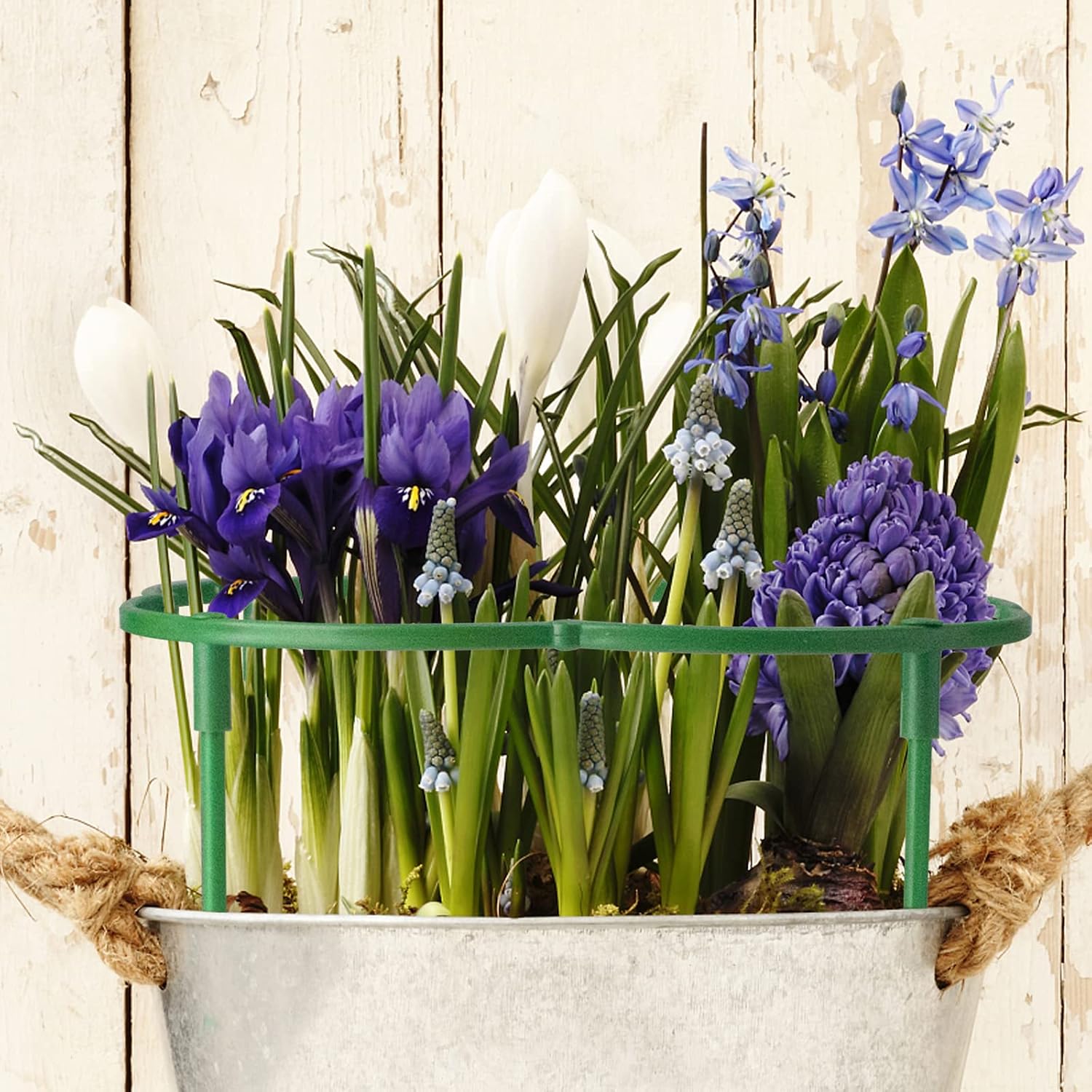 36Packs Plant Support Stake Half Round Plant Support for Indoor Plants, Stackable 3 Tier Garden Flower Support, Plant