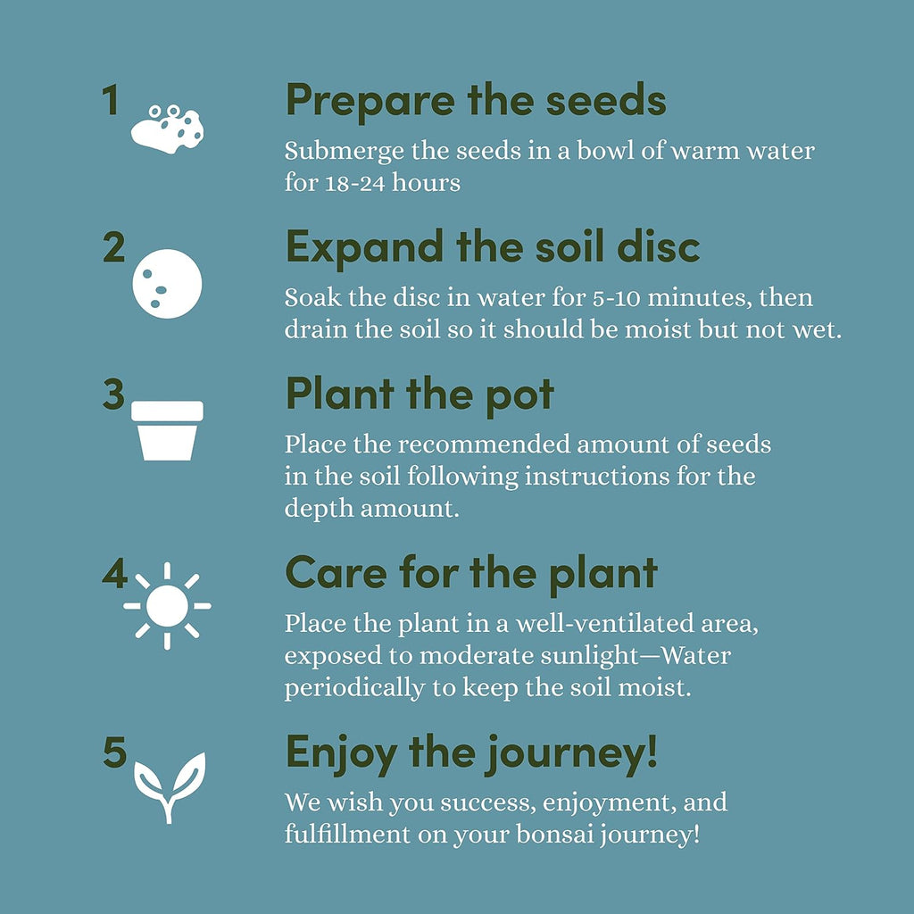 Bonsai Tree Kit for Beginners & Plant Lovers - Grow Your Own Bonsai | 4 Species Starter Kit with Burlap Pots, Shears
